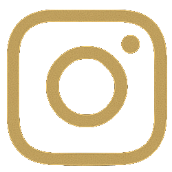 Follow Animo on Instagram