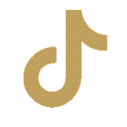 Follow Animo on TikTok