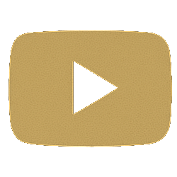 Follow Animo on YouTube